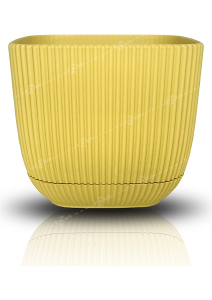 1,8 Litre Soft Sarı Mercan Kare Saksı Plastik Çiçek Bitki Kaktüs Sukulent Saksısı No3