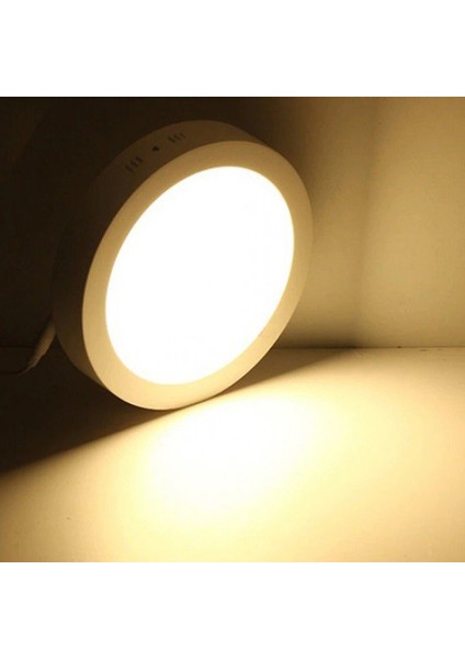 24W Yuvarlak Sıva Üstü LED Panel 3000K Günışığı