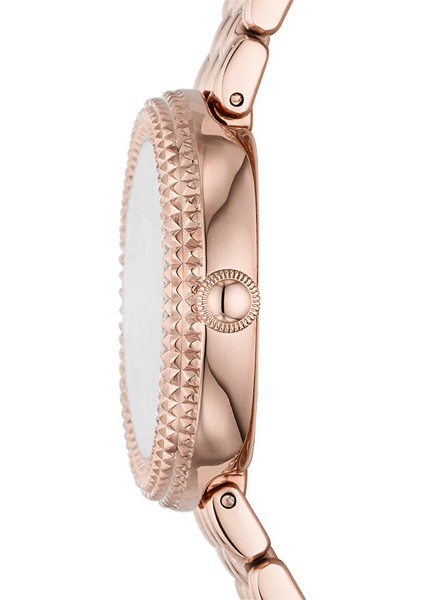 AR11432 Kadın Kol Saati fiyatları