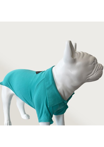 Cool Suit Mavi Lacoste Küçük-Orta-Büyük Irk Köpek Kıyafeti