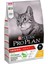 Tavuklu Yetişkin Kedi Maması 10 kg 1