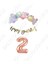Happy Bırthday Gold Yazılı Kaligrafi Banner Makaron Balon Seti 2 Yaş Rose Gold Set Doğum Günü 1