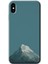 Apple iPhone Xs Max Kılıf Hd Desen Baskılı Arka Kapak + Temperli Cam - Alone Mountain 1