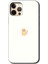 Apple iPhone 11 Pro Max Kılıf Hd Desen Baskılı Arka Kapak - Cat Minimalism 1