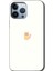 Apple iPhone 13 Pro Max Kılıf Hd Desen Baskılı Arka Kapak - Cat Minimalism 1