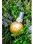 After Sun Gold Invention – Güneş Sonrası Ferahlatıcı ve Yenileyici Sprey (100 ml) 5