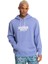 x Stranger Things Official Logo Erkek Kapüşonlu Sweatshirt EQYFT04726 3