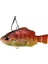 Realis Deka Nomase Gill 5006 Burning Red Gill 1