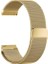 Polar Unite Için Mıknatıslı Milanese Kordon Gold 1