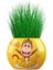 3628-3321-3741-3604-3581 Çim Adam Lol,kral Şakir,kukuli,rafadan Tayfa,pırıl 3