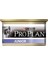 Proplan Junior Kitten Tavuklu Yavru Kedi Yaş Mama Konserve 12 Adet x 85 gr 1