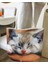 Kedi Baskılı Kumaş Heybe Çanta 1