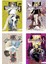 Death Note 5-6-7-8 Çizgi Roman 4 Kitap Set 1