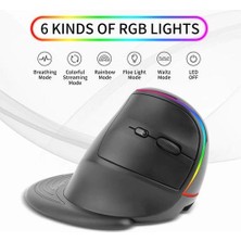 Dikey Kablosuz Fare, 2.4 Ghz Dpı 1200/1600/2400/3200 Ergonomik Kablosuz Şarj Edilebilir Fare Rgb Fare Dizüstü / Pc | Fareler