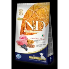 N&D N-D Düşük Tahıllı Kuzu Etli Yaban Mersinli Küçük Irk Yavru Köpek Maması 2.5 kg