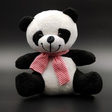 Tatlı Peluş Panda & Işıklı Mini Panda Kar Küresi Hediye Seti