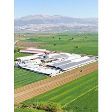Akalp Çiftliği Maraş Kasap Et Sucuğu 1000 gr