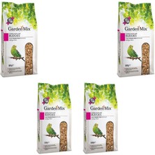 Garden Mix  Platin Muhabbet Yemi 500 gr x 4 Adet