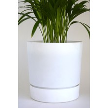 Leo Garden Begonya 9 Lt Saksı