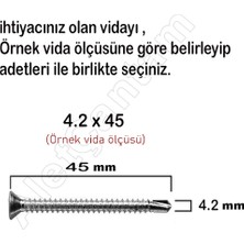 Alet Çantam Matkap Uçlu Vida Akıllı Apex Vidası 3.9X25 - 100 Adet