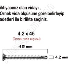 Alet Çantam Matkap Uçlu Vida Akıllı Apex Vidası 4.8X16 - 100 Adet