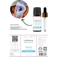 Mint Oil - Mentha Spicata - Aromatherapy Essential Oil