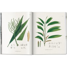 The Book of Palms / Das Buch der Palmen / Le livre des palmiers