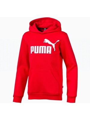 Puma Essentials Hoody B