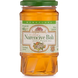 Narenciye Balı 460 g