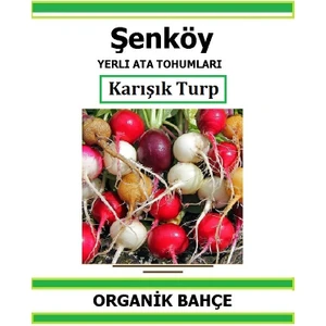 Kırmızı Beyaz Siyah Fındık Turp Tohumu Doğal Ata Tohum Pakette 5 Çeşit 500 Tohum
