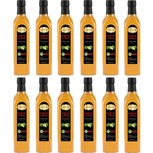 Hanzade Bitkisel İçilebilir Katkısız Cam Şişe Enginar Sirkesi 12 x 500 ml