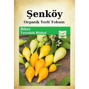 Misket Biber Tohumu Doğal Ata Turşuluk Misket Biber Tohumu Pakette 100 Adet