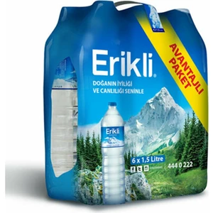 Su 1.5 lt 12'li Paket Su