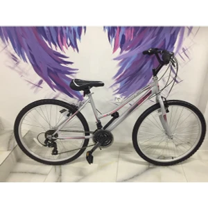 Fantasia 26 Jant Shimano 21 Vites Kadın Bisikleti