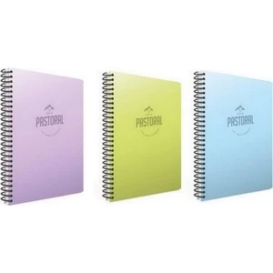Pastoral Spiralli PP Kapak 96 Yaprak Okul Defteri 2 Kareli + 1 Çizgili 3'lü Set 17x24