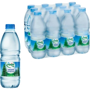 Su 500 ml. 48'li Paket Su