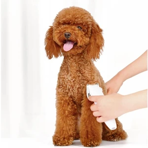 Youpin Pawbby Köpek Profesyon Razor Beyaz (Yurt Dışından)
