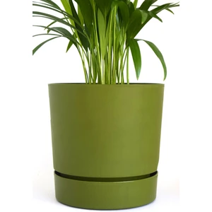 Leo Garden Begonya 9 Lt Saksı