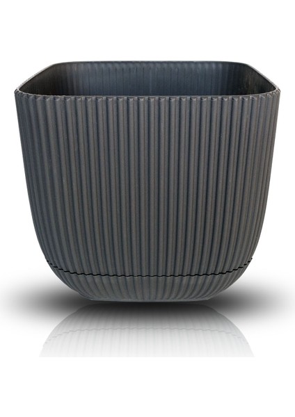 4 Litre Antrasit Gri Mercan Kare Saksı Plastik Çiçek Bitki Kaktüs Sukulent Saksısı No4