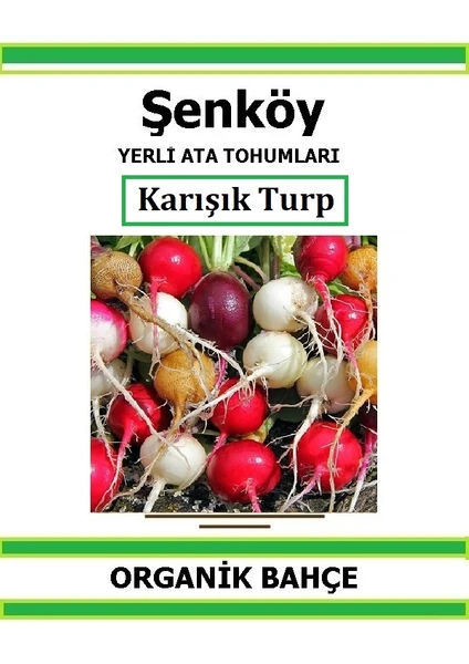 Kırmızı Beyaz Siyah Fındık Turp Tohumu Doğal Ata Tohum Pakette 5 Çeşit 500 Tohum