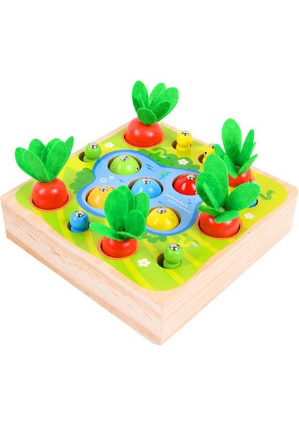 Oyuncak Set Ahşap Oyuncaklar Bebek Çekin Havuç Şekli Eşleştirme Boyutu Bilişsel Bulmaca Çocuk Ahşap Bebek Oyuncakları |(Yurt Dışından)