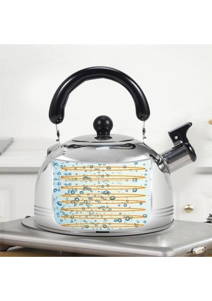 4l Kamp Whistling Su Isıtıcısı Paslanmaz Çelik Gaz Sobası Elektrikli Soba Kampı Yangın Taşınabilir Seyahat Çaydanlık | Su Isıtıcılar