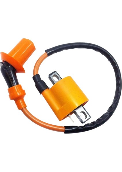 Ateşleme Bobini CG-125CC CG-150CC CG-200C Kir Çukur Bisikleti Buggy Için Değiştirilir