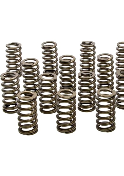 16 Pac Yarış Yayları Kümesi .600 Ls Motorları Için Uygun Asansör PAC-1218 PAC1218(Yurt Dışından) fırsatları