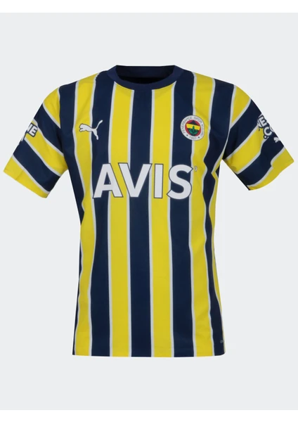 Fenerbahçe Fb 2022/23 Promo Çubuklu Forma