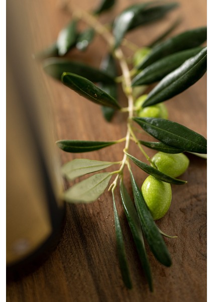 Yeşil Zeytin 600 gr