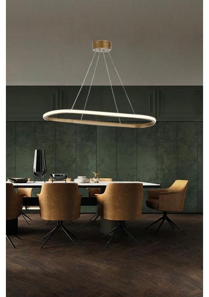 2005-1 Eskitme Tekli Elips LED Avize