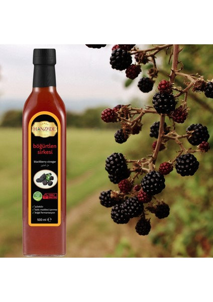 İçilebilir Katkısız Cam Şişe Böğürtlen Sirkesi 500 ml