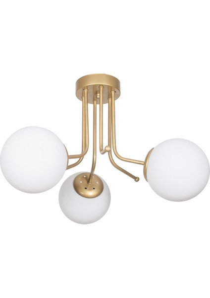 Daisy Lüks Modern Tasarım Plafonyer Gold Renk Beyaz Camlı 3'lü Avize