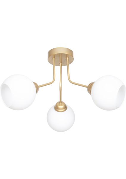 Rosa Modern Lüks Tasarım Tavan Plafonyer Gold Renk Beyaz Camlı 3'lü Avize